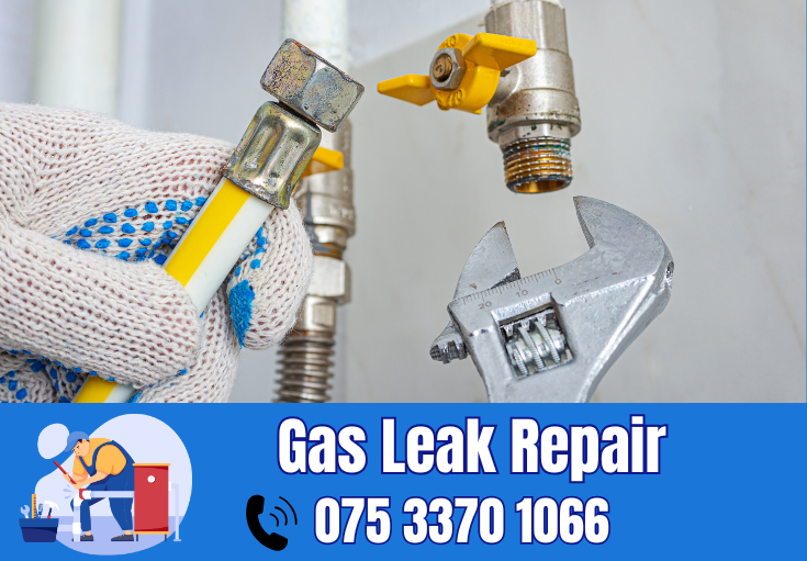 gas leak repair Sheerness