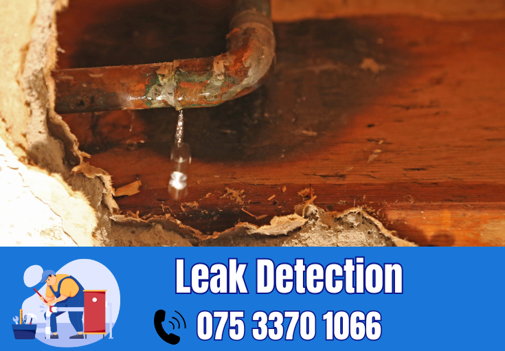 leak detection Sheerness