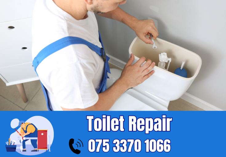 toilet repair Sheerness